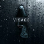 VISAGE | STANDARD EDITION IIOI8