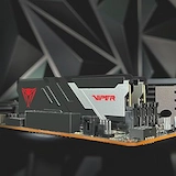 PATRIOT | VIPER VENOM MEMORY DDR5 6000 MT/s 